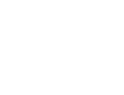 BoB Logo
